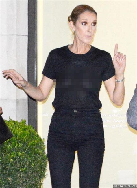 celine dion see through top|Braless Celine Dion, 49, flashes NIPPLES as she suffers .